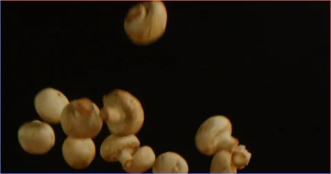 Mushrooms falling in slow motion isolated 스톡 동영상 126301082