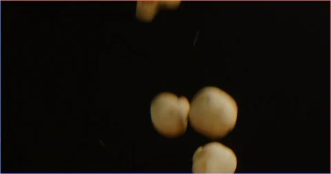 Mushrooms falling in slow motion isolated Stock Footage 126301102