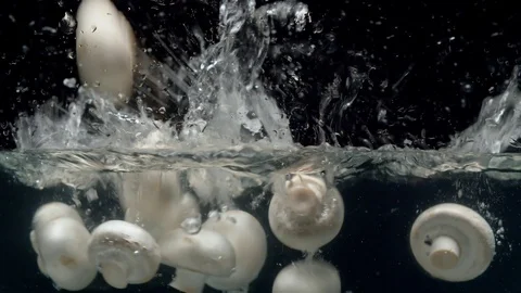 Mushrooms falling into the water with a splash Stock Footage 123703902