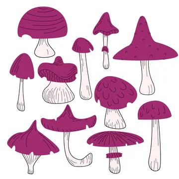 Mushrooms in flat style with lines, colored mushrooms Stock Illustration