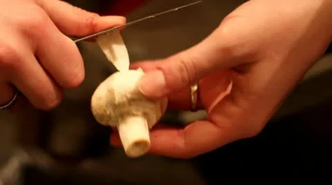 Mushrooms Stock-Footage 10574807