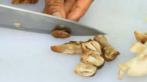 Mushrooms 動画素材 11308740