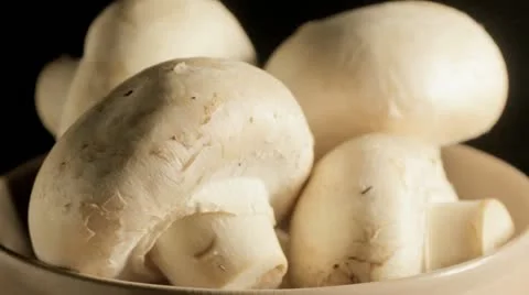 Mushrooms Stock Footage 12670122