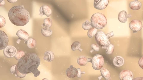 Mushrooms Stock Footage 95818480