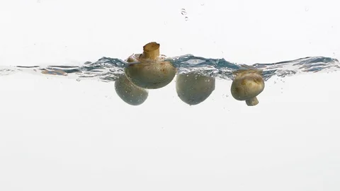 Mushrooms Stock Footage 99724891