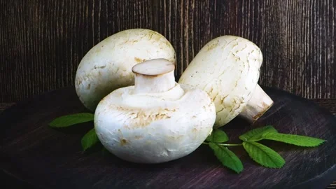 Mushrooms Stock Footage 155158349