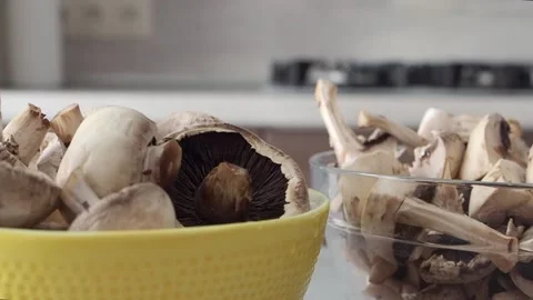 Mushrooms Stock Footage 197842022