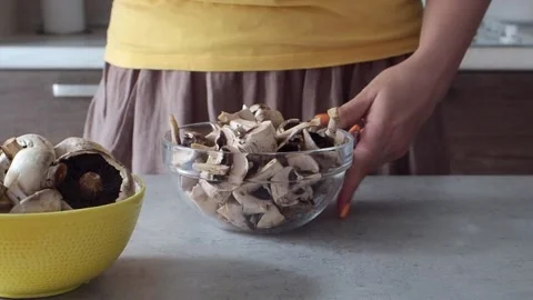 Mushrooms Stock Footage 197844477