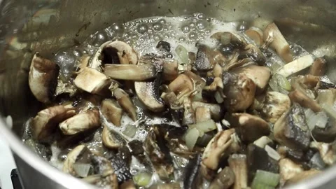 Mushrooms Stock Footage 197845327