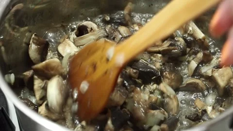 Mushrooms Stock Footage 197845379