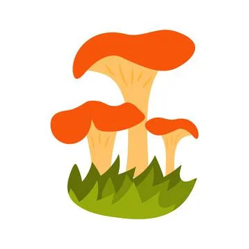 Mushrooms with grass Stock Illustration