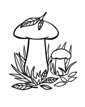 Mushrooms in the grass - linear vector illustration for coloring. Two ceps Stock Illustration