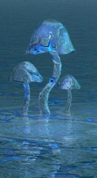 Mushrooms, Illustrazione stock