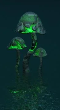 Mushrooms, 스톡 일러스트