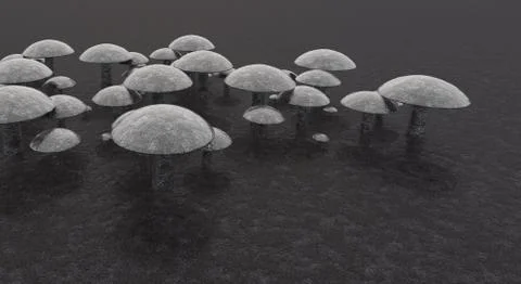 Mushrooms, Stock Illustration