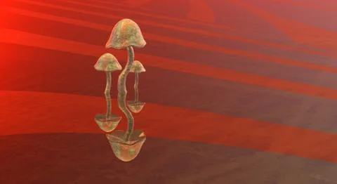 Mushrooms Illustrazione stock