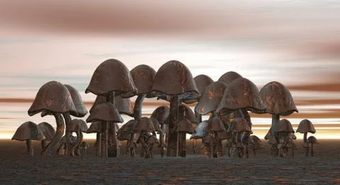 Mushrooms Stock-Illustration