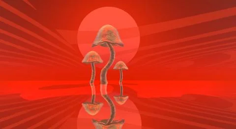 Mushrooms Illustrazione stock