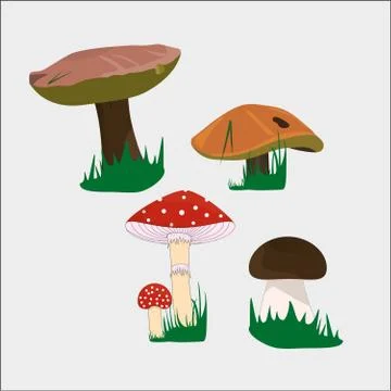 Mushrooms Stock Illustration