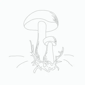 Mushrooms Stock Illustration