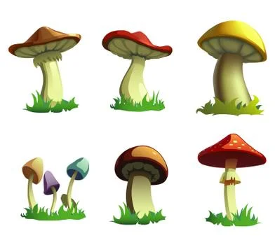 Mushrooms Stock-Illustration
