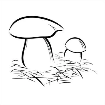 Mushrooms Stock Illustration