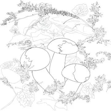 Mushrooms Illustrazione stock