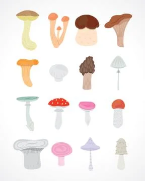 Mushrooms Illustrazione stock