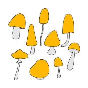 Mushrooms Stock Illustration