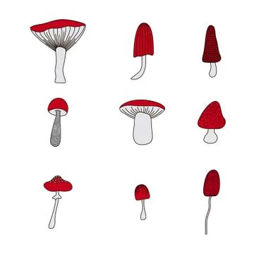 Mushrooms Stock Illustration