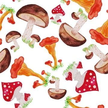 Mushrooms Stock Illustration