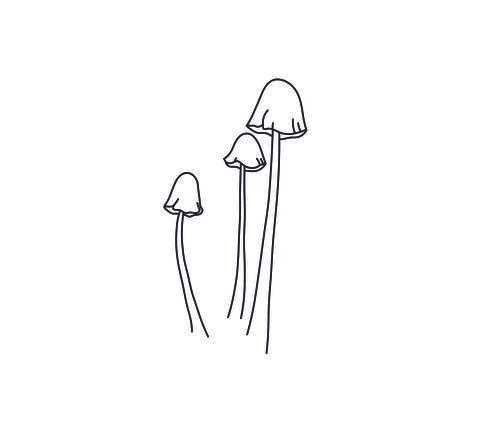 Mushrooms Stock Illustration