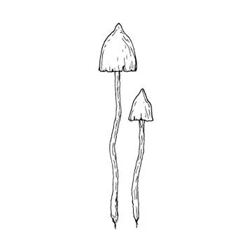 Mushrooms. Isolated toadstools. Vector cartoon illustration. Hand-drawn style. Stock Illustration
