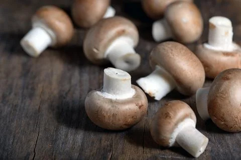 Mushrooms on a kitchen table Stock Photos