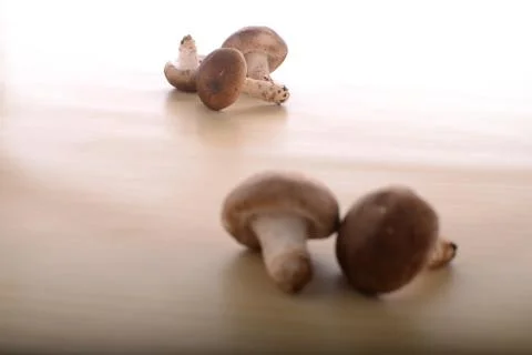 Mushrooms on kitchen table top Stock Photos