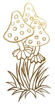 Mushrooms, line drawing, magic items, fly agaric. Stock Illustration