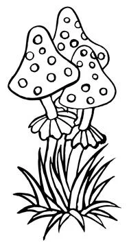 Mushrooms, line drawing, magic items, fly agaric. Stock Illustration