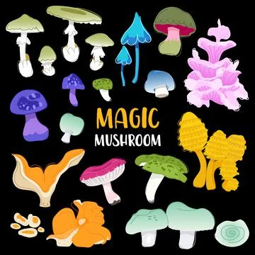 Mushrooms magic set on black background. Different color and shape mushrooms. Stock Illustration