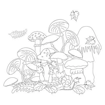 Mushrooms in the meadow. Illustrazione stock