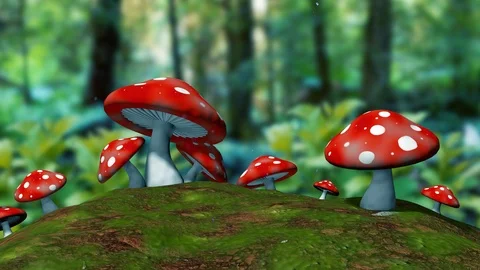 Mushrooms in the middle of the forest Stock Footage 120043066