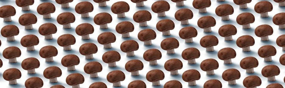 Mushrooms panoramic pattern Stock Photos