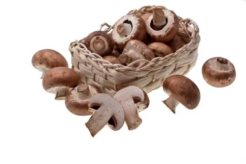 Mushrooms Stock Photos