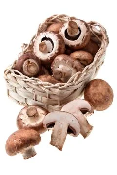 Mushrooms Foto stock