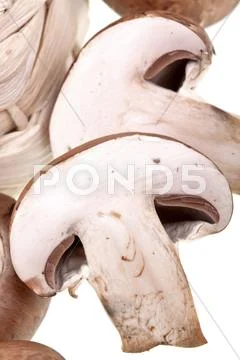 Mushrooms Stock Photos