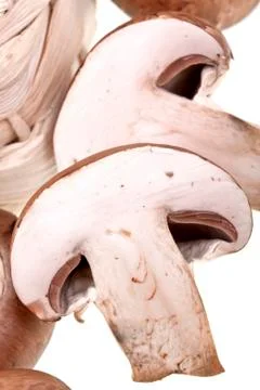 Mushrooms Stock Photos