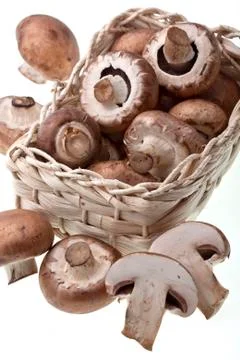 Mushrooms Foto stock