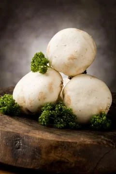 Mushrooms Stock Photos