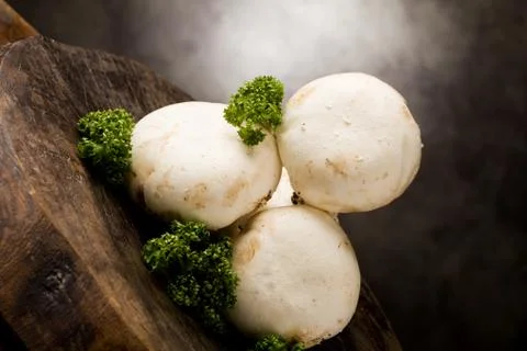 Mushrooms Stock Photos