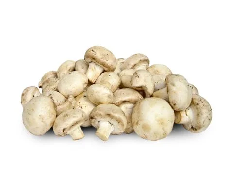 Mushrooms 스톡 사진
