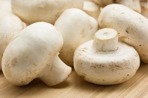 Mushrooms Stock Photos